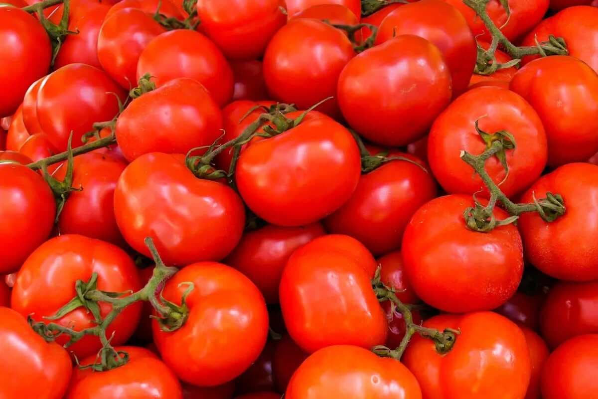 6 Benefits Of Eating Tomatoes Daily During Summers