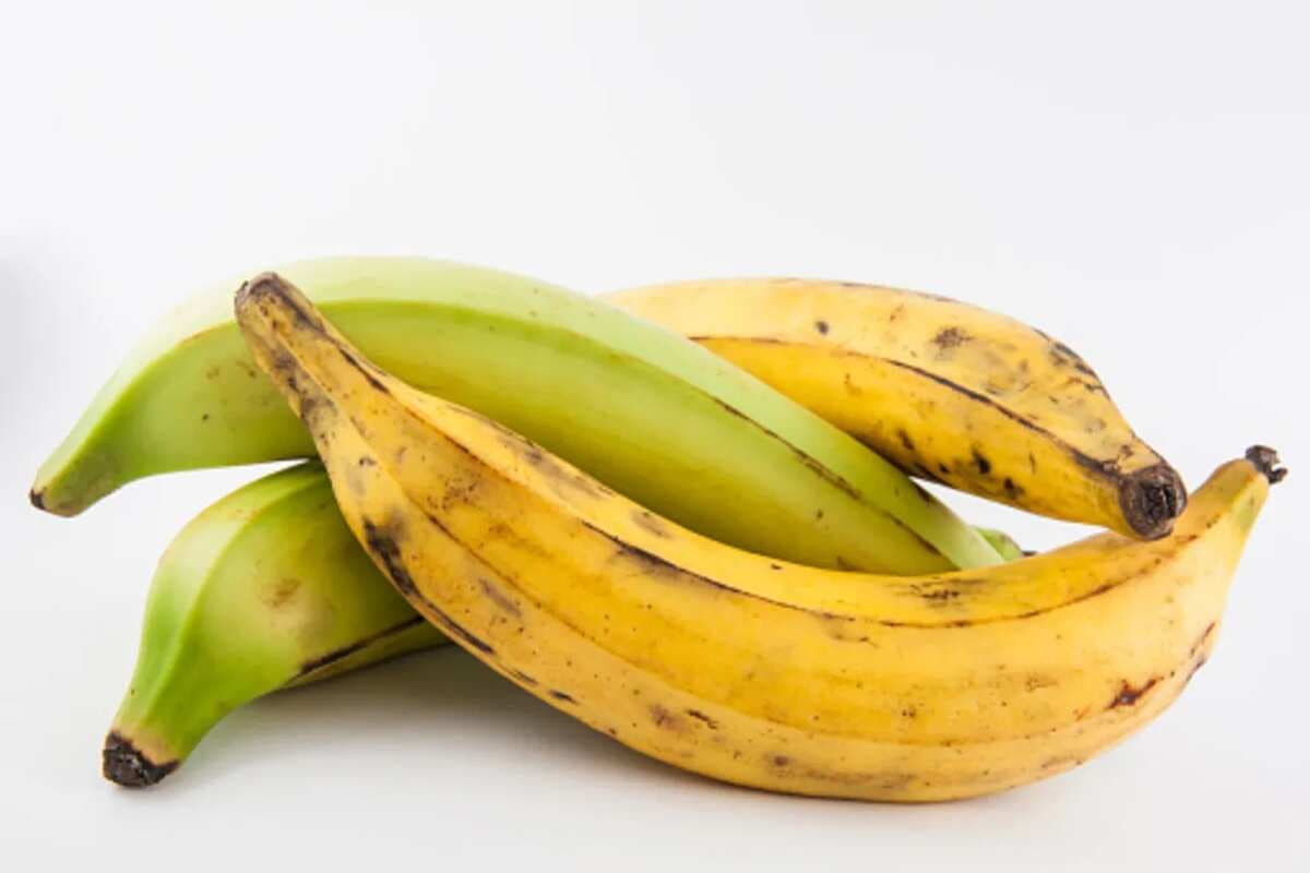 Plantains: Tracing The Roots From Africa To The Caribbean