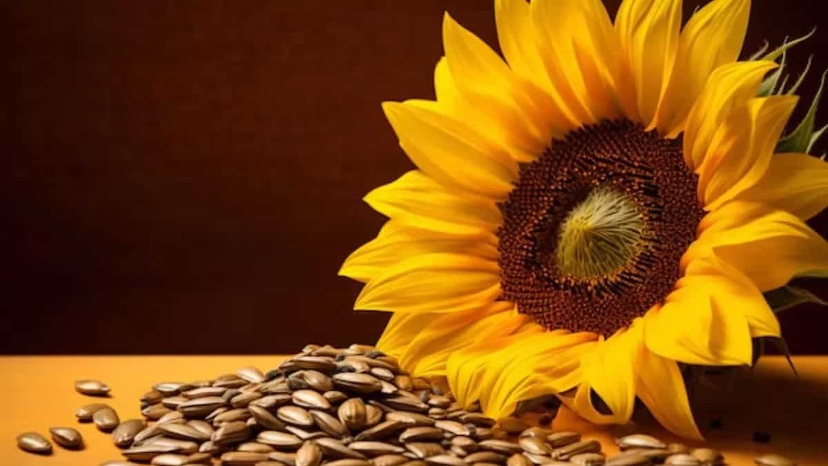 5 Ways To Add Sunflower Seeds To Your Monsoon Snacks