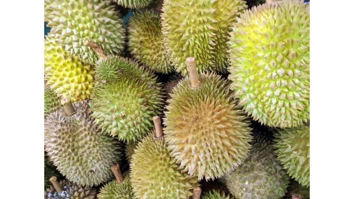 The Forbidden Fruit: Exploring Taste of Durian Ice Cream