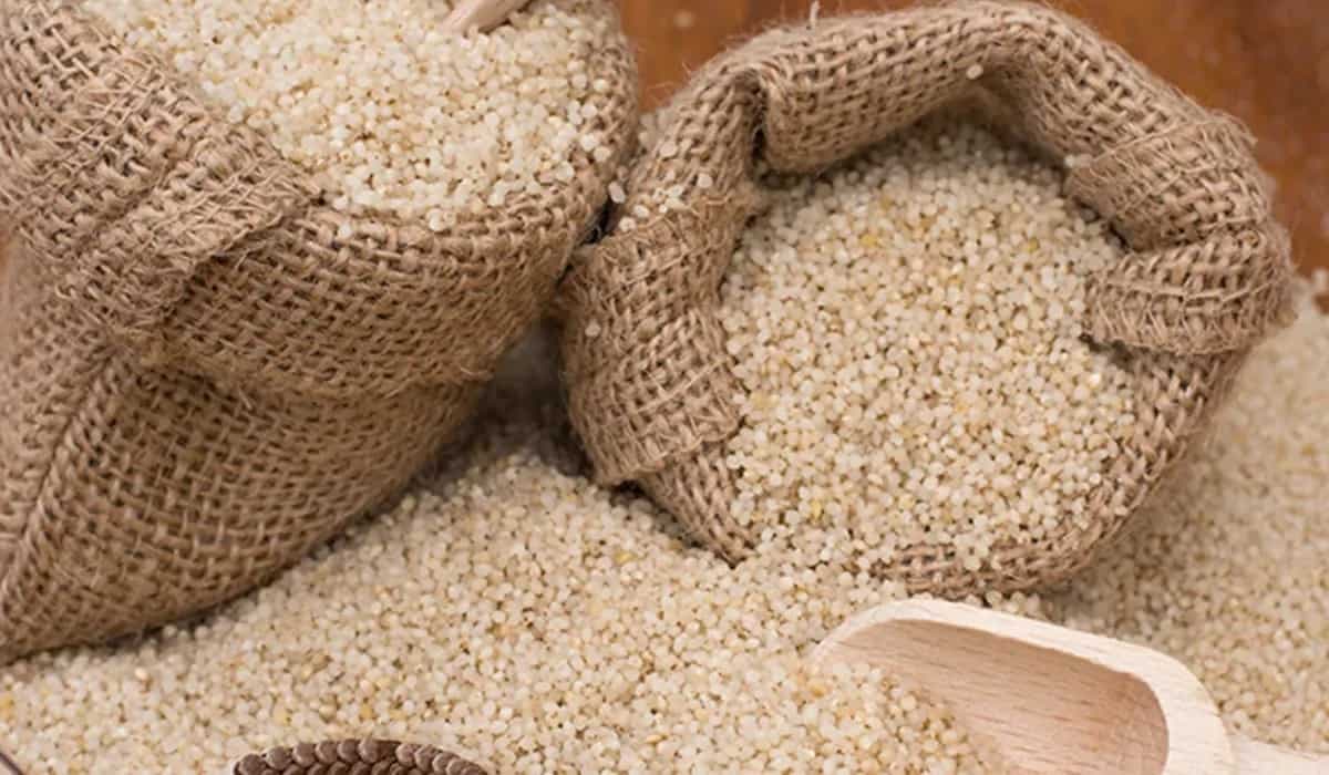 Little Millet: Nutrient-Packed Grain Offering Health Advantages