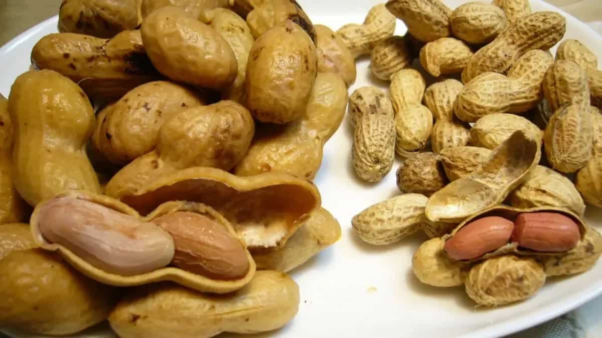 How To Grow Peanuts At Home? Hacks And Care Guide