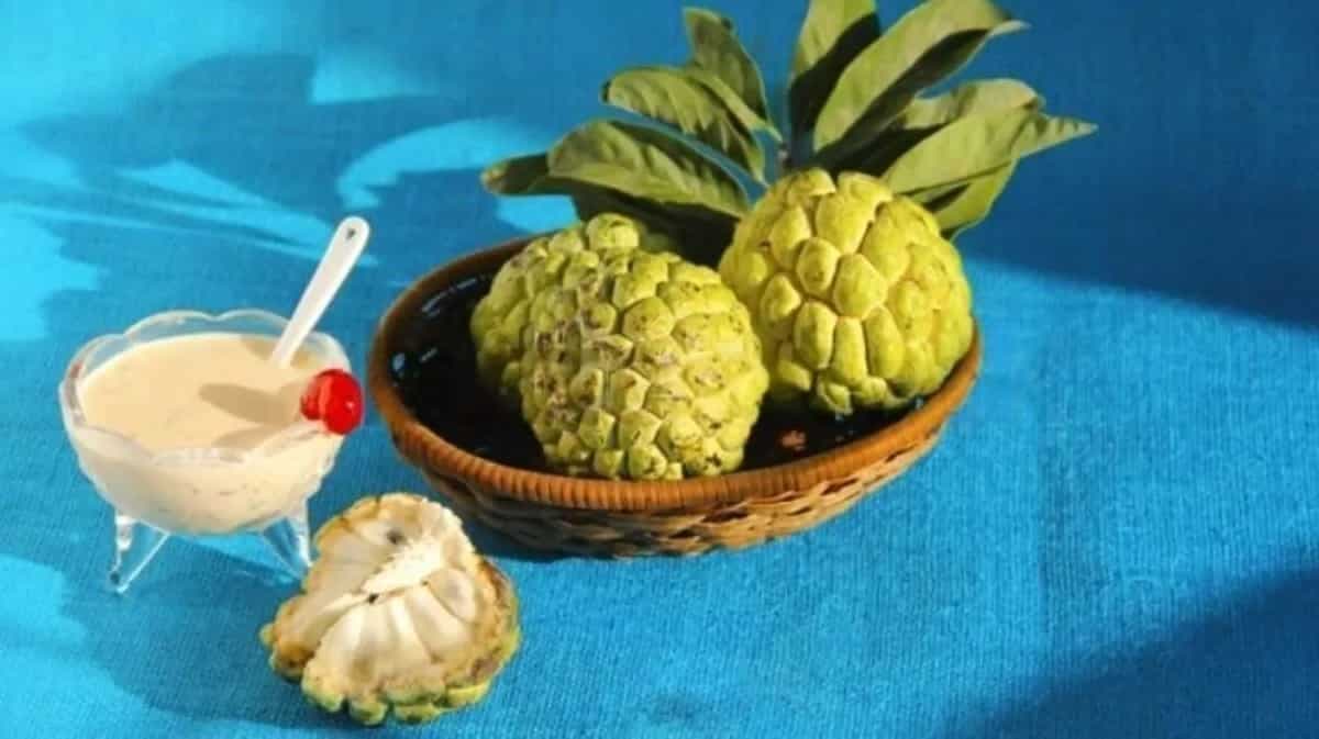 6 Reasons How Custard Apple Aids in Weight Loss