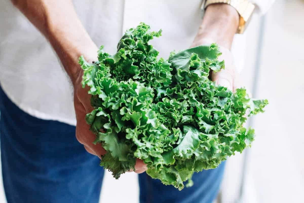 Dark Leafy Green Vegetables Are More Important Than You Think