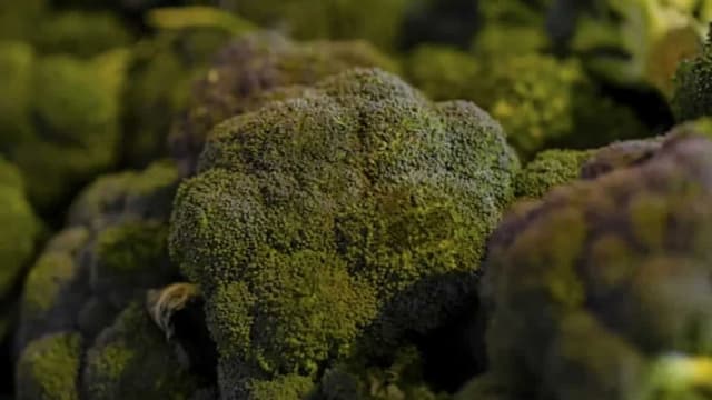 How To Grow Broccoli? Follow These Home Garden Tips