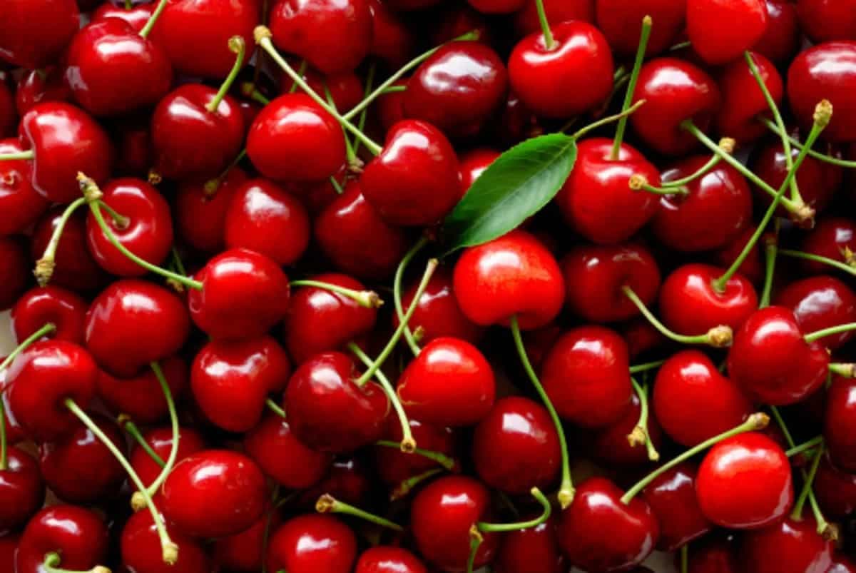 7 Sweet And Sour Varieties Of Cherries You Must Try