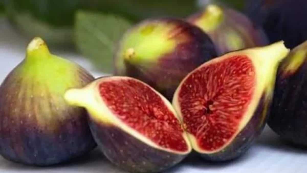 Figs And It's Various Use In Indian Cuisine