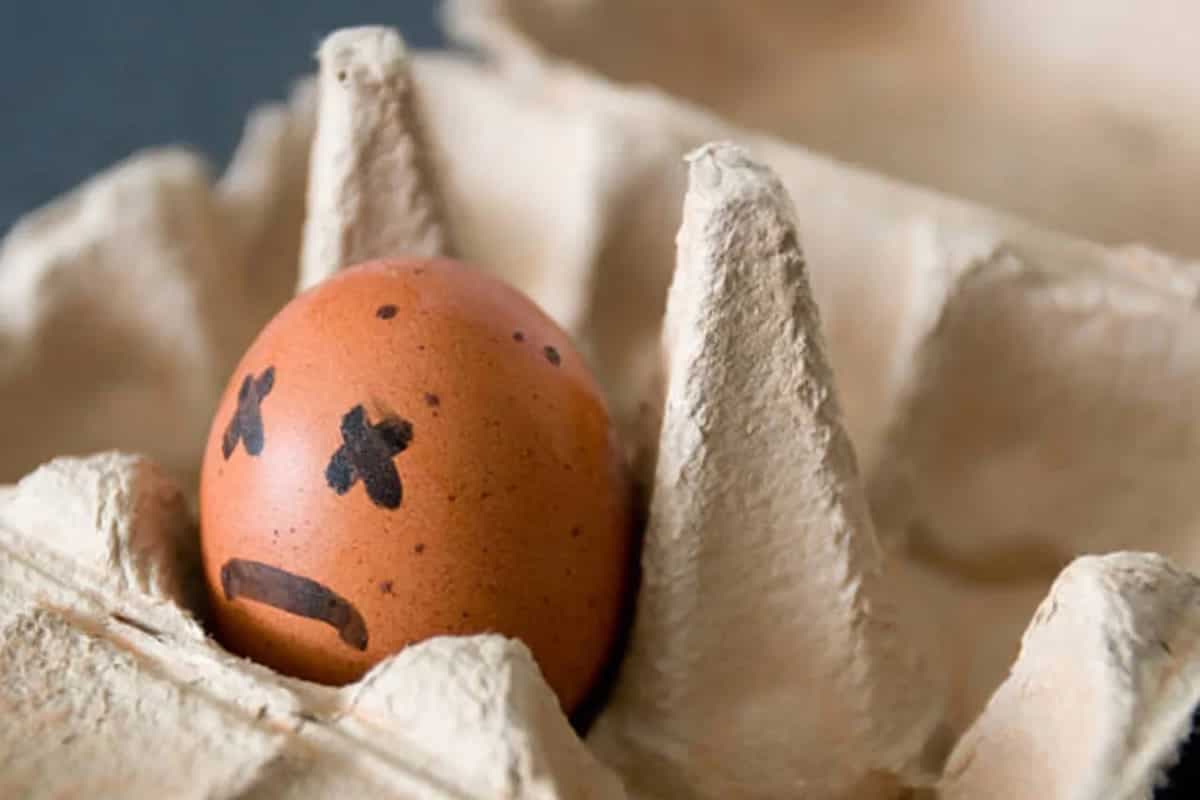 4 Egg-Cellent Tips To Easily Spot Spoiled Eggs At Home