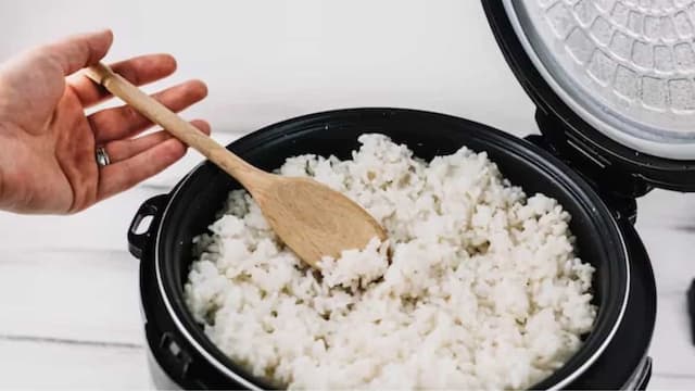 Tips And Tricks To Use Usha's Rice Cooker For Meal Preparation