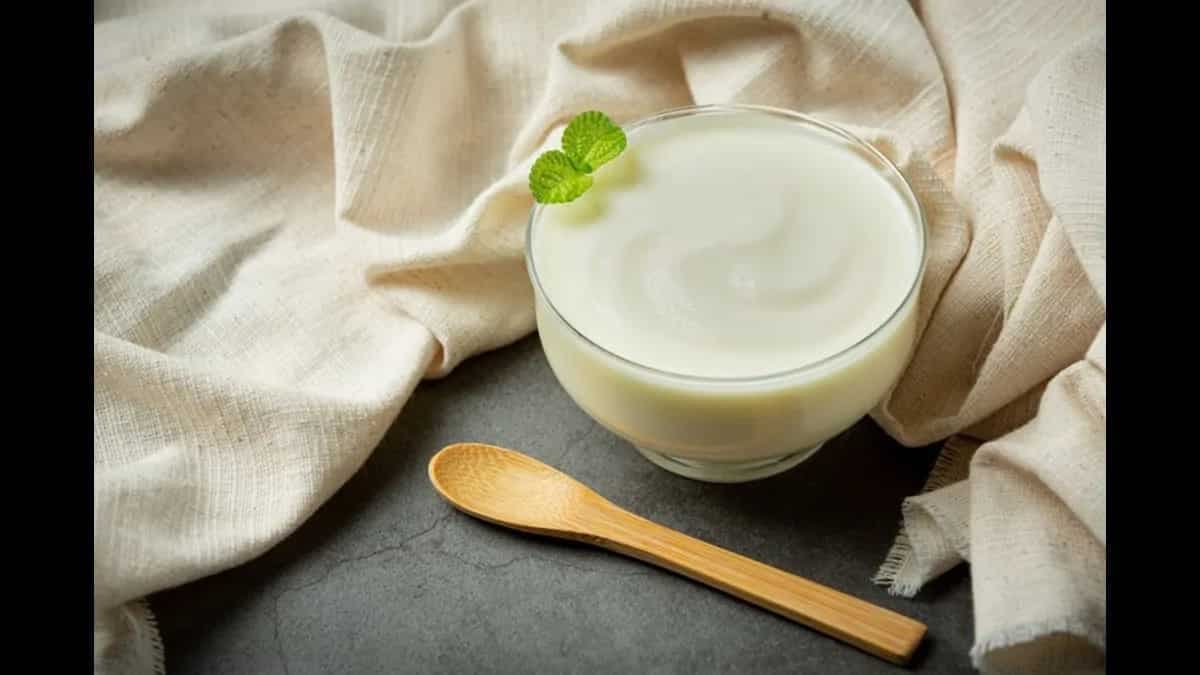 4 Easy Ways To Make Curd Without A Curd Starter