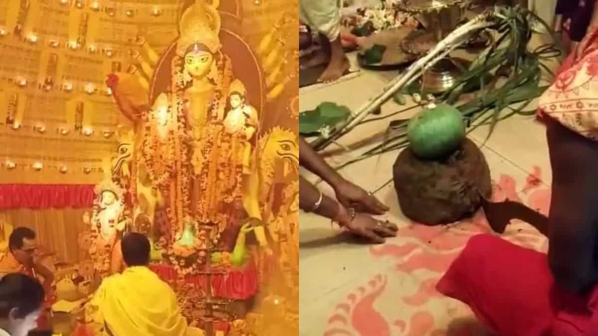 Sandhi Puja 2023: All About The Rituals And Offerings