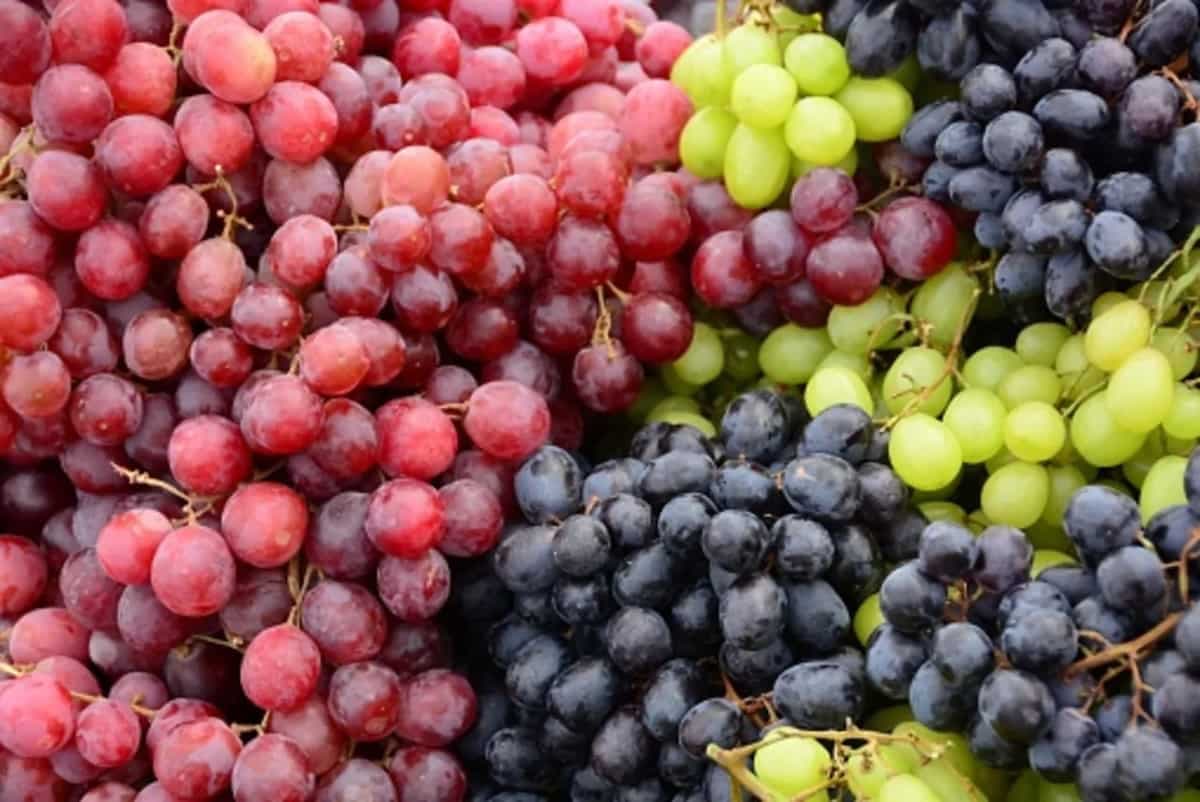 5 Top Varieties Of Grapes You Should Know