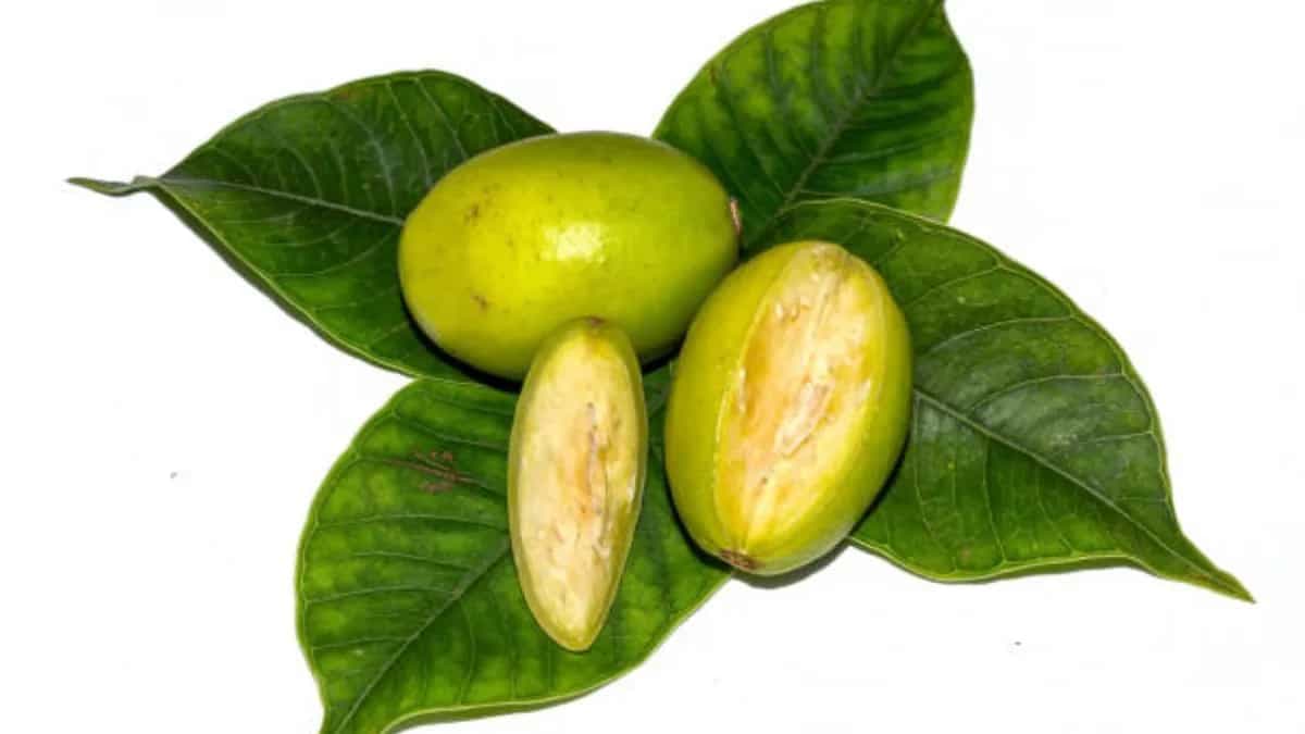 Superfood Amra: Exploring The Health Benefits Of Hog Plum