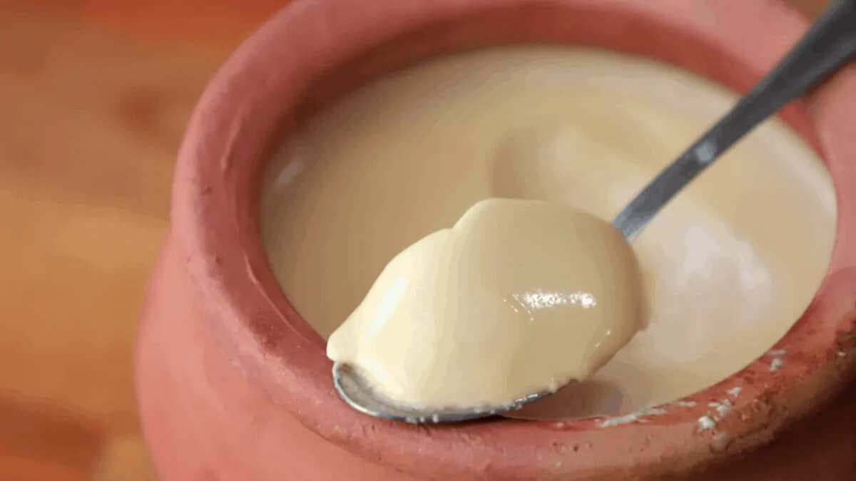 Bengali Mishti Doi Recipe, Find Sweetness in Every Bite