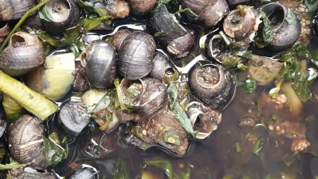 Ghonghi: Know About This Tribal Snail Curry From Madhya Pradesh