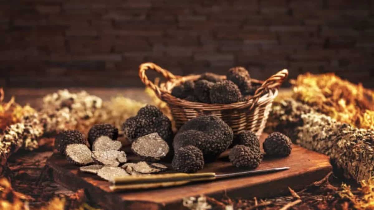 Exploring The Health Benefits Of Truffles