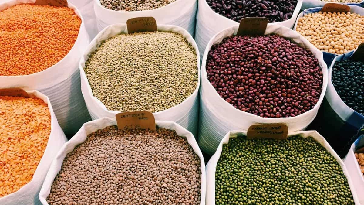 7 Tips To Keep Insects Away From Pulses