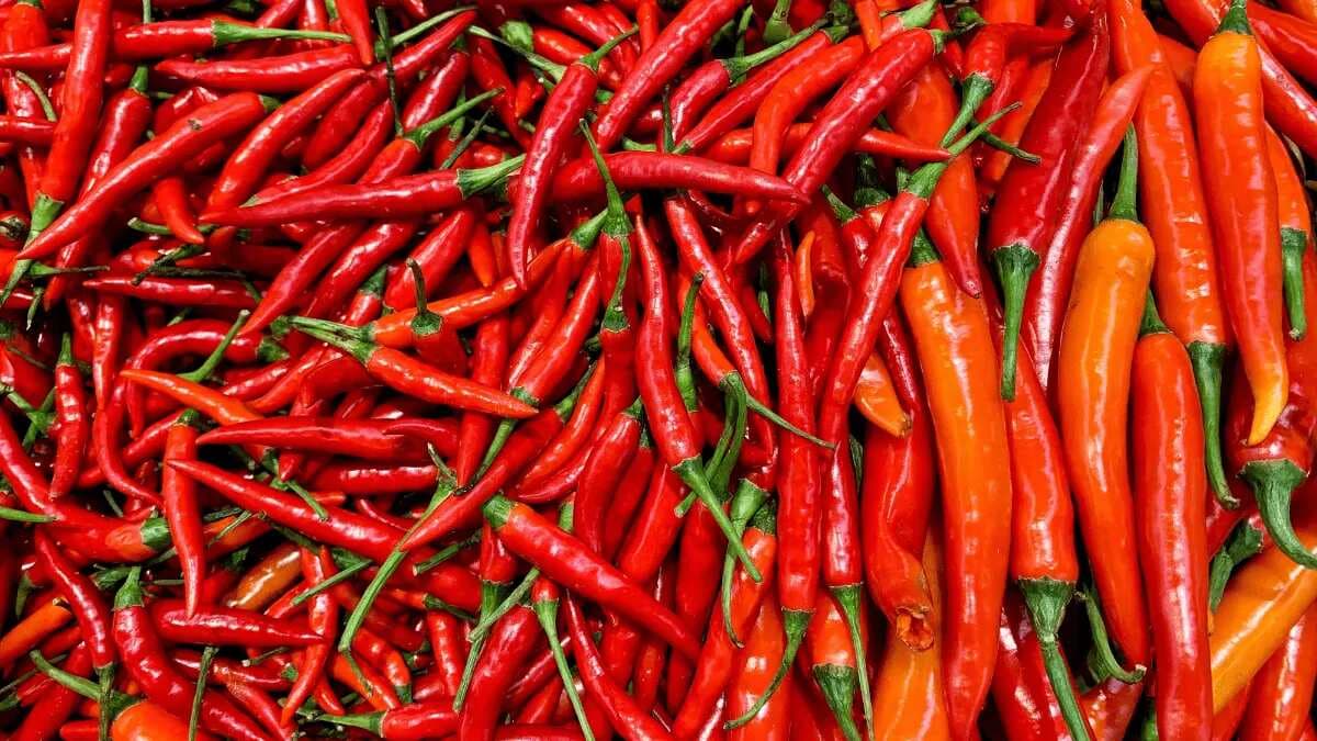 Eating Spicy Chillies and Peppers Has Many Health Benefits