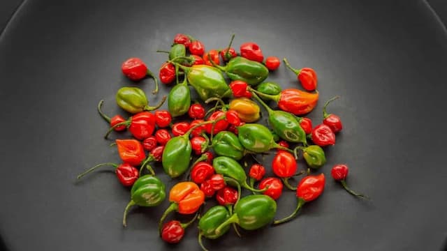 Easy-To-Grow Sweet And Spicy Pepper Varieties To Plant 