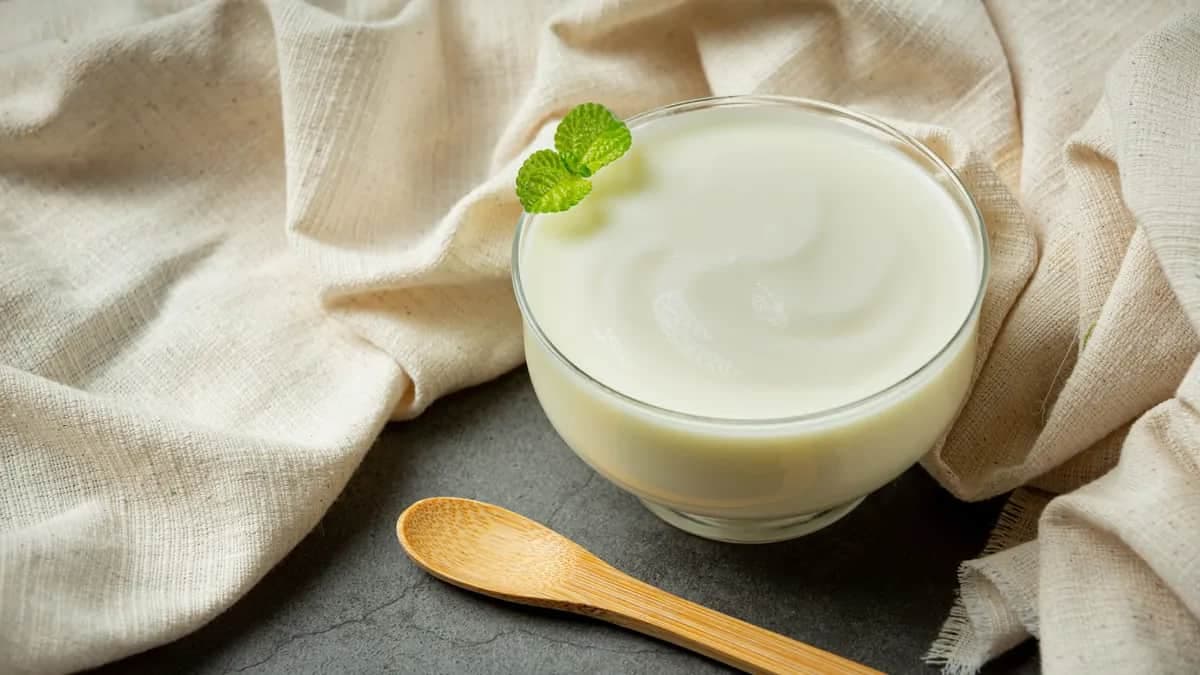 Is Curd Really a Summer Cooler? Or Is It A Myth?