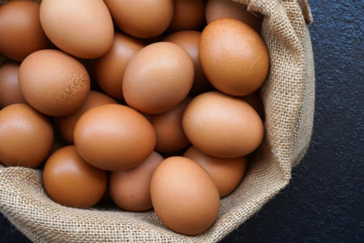 UP Government Releases New Guidelines For Egg Storage And Safety
