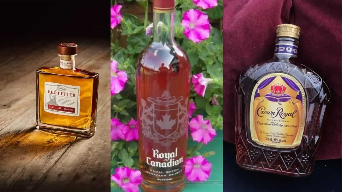 Must-Have Canadian Whiskies That Are Available In India