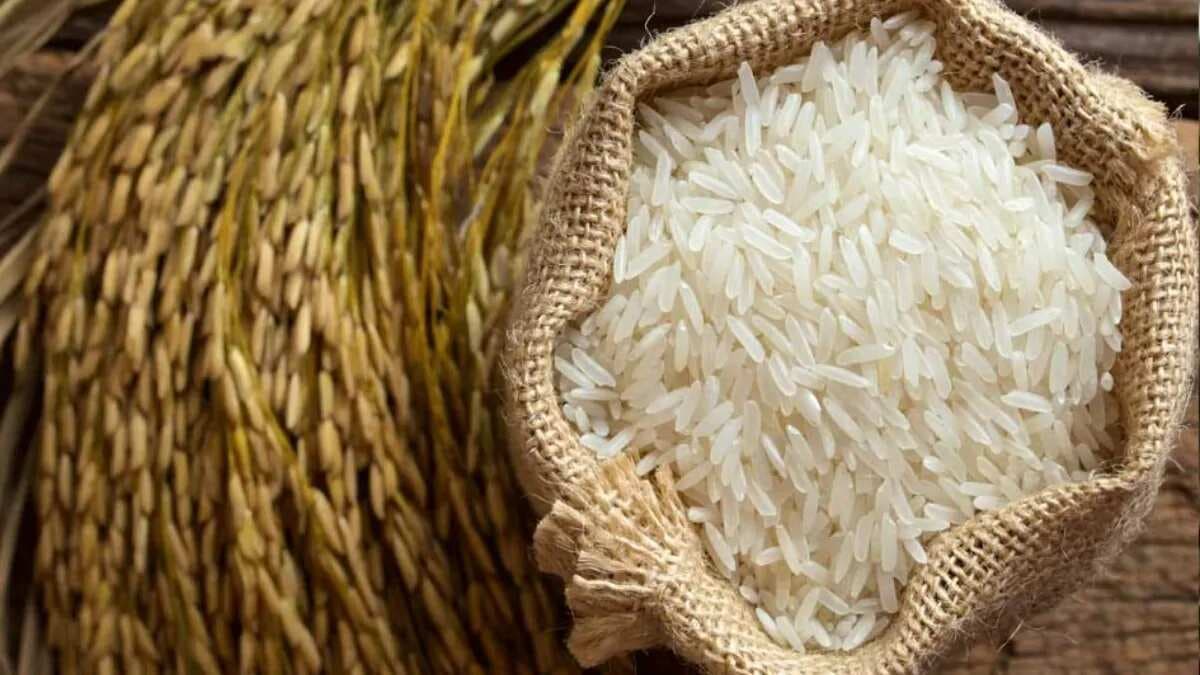 Tracing The History Of Basmati: The Aromatic Jewel Of Rice