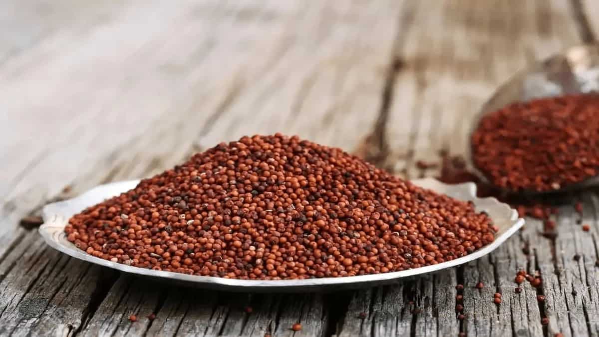 Benefits Of Ragi In Ayurveda! Know Why And How To Eat It?