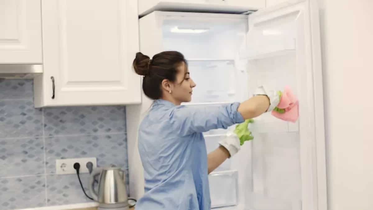 Monsoon Cleaning Guide For Your Refrigerator The Right Way