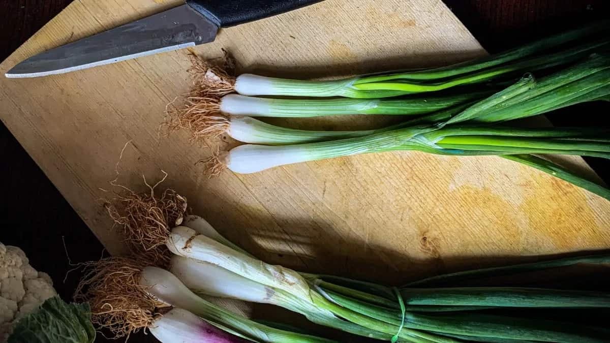 Spring Onions: 3 Ways To Use Scallions As More Than A Garnish