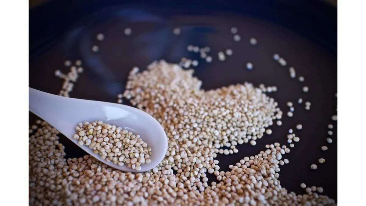 Powerful Plant Proteins: Exploring The Health Benefits of Quinoa