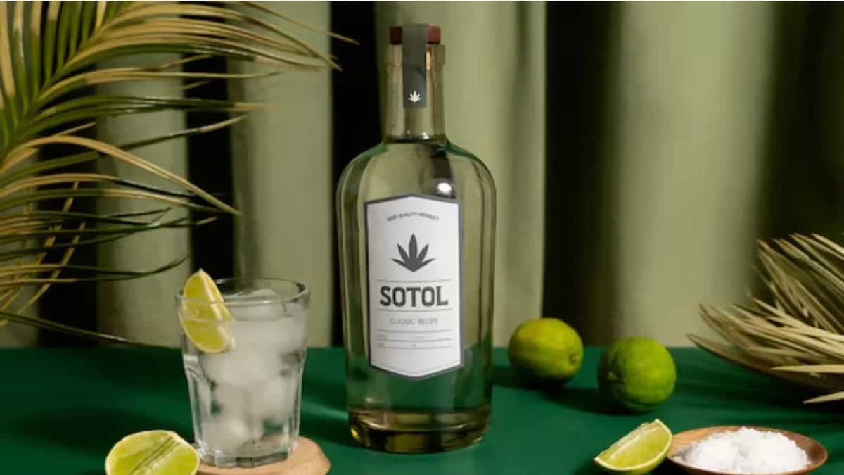 Top Blanco Tequila Brands Every Enthusiast Should Try Out