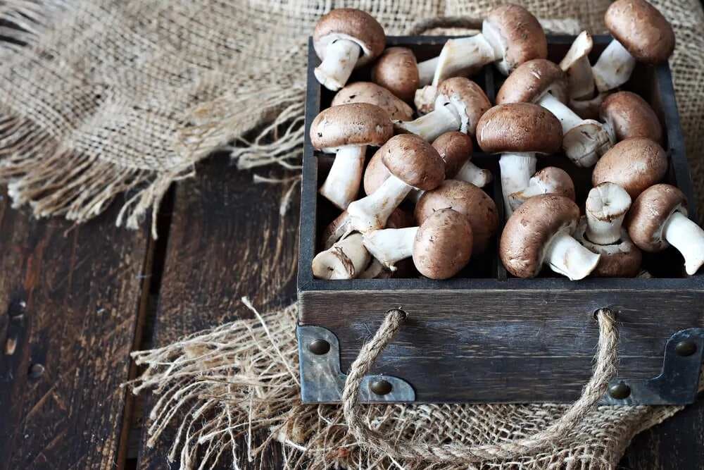 Portbello Mushrooms 