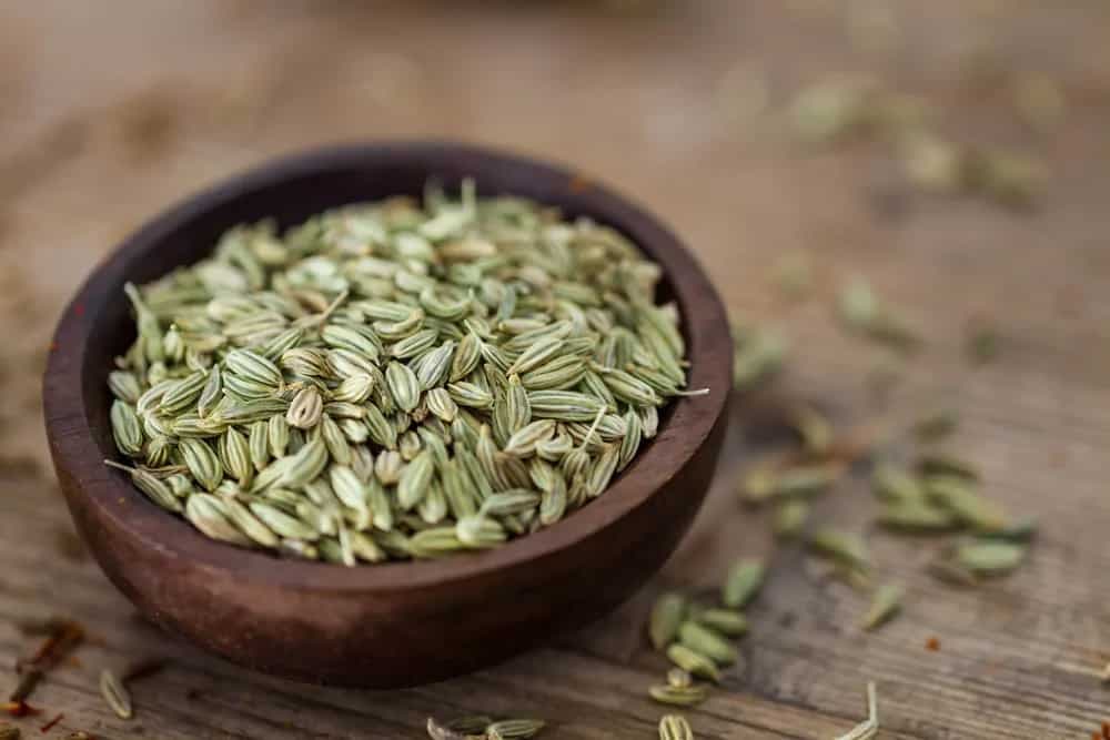 Fennel Seeds 