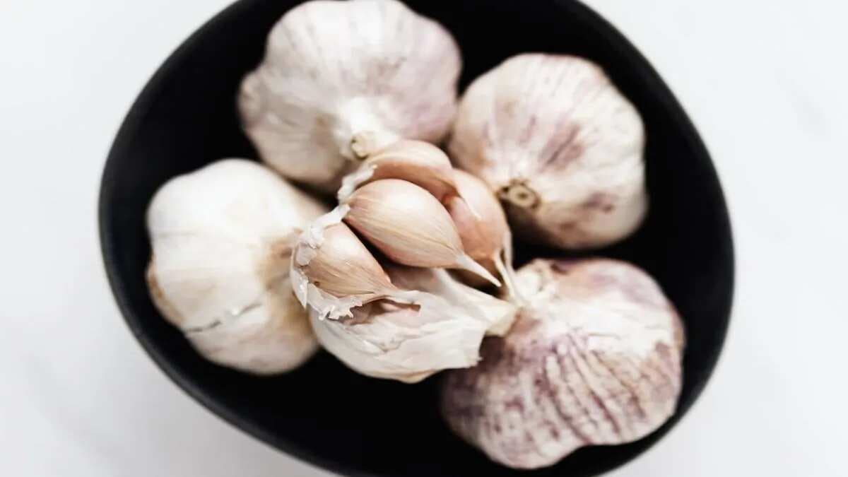 Garlic